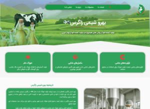 نمونه کار طراحی سایت آقای ایده با قیمت مناسب